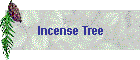 Incense Tree